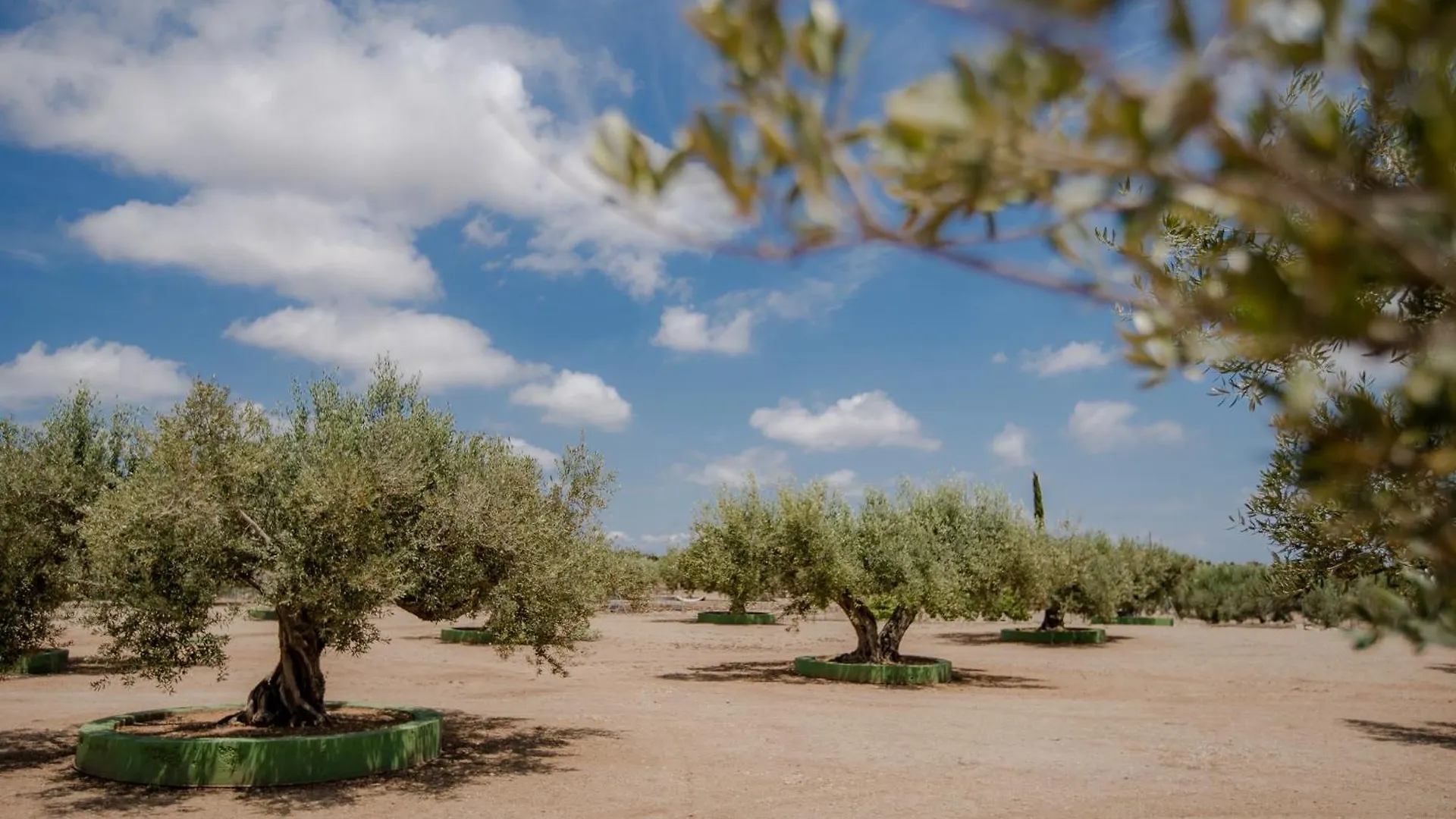 Villa Rural Avril Camarles Spanien